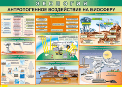 Таблица "Антропогенное воздействие на биосферу" (100х140 сантиметров, винил) - fgospostavki.ru - Тула