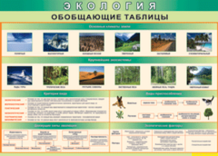 Таблица "Экология. Обобщающие таблицы" (100х140 сантиметров, винил) - fgospostavki.ru - Тула