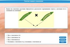 Интерактивные курсы. Биология 11 класс. Базовый. - fgospostavki.ru - Тула