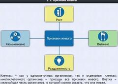 Интерактивные курсы. Биология 5 класс. Базовый - fgospostavki.ru - Тула