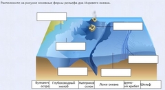 Интерактивные курсы. География 7 класс . Базовый. - fgospostavki.ru - Тула