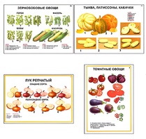 Плакаты ПРОФТЕХ "Ассортимент овощных культур" (12 пл, винил, 70х100) - fgospostavki.ru - Тула
