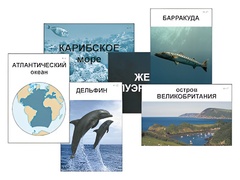 Модель-аппликация "Океаны. Знакомство" (ламинированная) - fgospostavki.ru - Тула