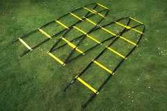 Лестница для тренировок (вариант 1) - fgospostavki.ru - Тула