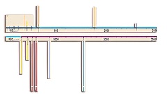 Модель-аппликация "Расстояния во Вселенной" - fgospostavki.ru - Тула
