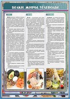 Стенд "Белки. Жиры. Углеводы" - fgospostavki.ru - Тула