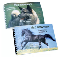 Пособие для слабовидящих - Домашние животные - fgospostavki.ru - Тула