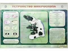 Электрифицированный стенд "Устройство микроскопа и правила работы c ним" - fgospostavki.ru - Тула