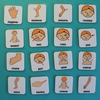 Набор карточек "Части тела" - fgospostavki.ru - Тула