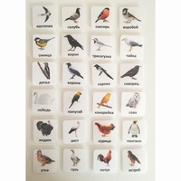 Набор карточек "ПТИЦЫ" - fgospostavki.ru - Тула