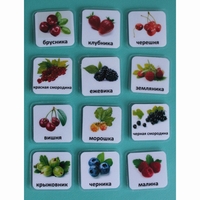 Набор карточек "Ягоды" - fgospostavki.ru - Тула