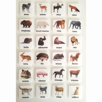 Набор карточек "ЖИВОТНЫЕ" - fgospostavki.ru - Тула