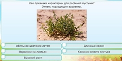 Интерактивные курсы. Окружающий мир 3 класс . Базовый. - fgospostavki.ru - Тула