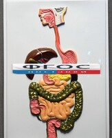 Модель барельефная "Пищеварительный тракт" - fgospostavki.ru - Тула