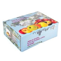 Набор муляжей "Дикая форма и культурные сорта яблок" - fgospostavki.ru - Тула