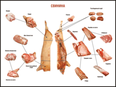 Таблица "Правила разделки мясных туш. Свинина" (100х140 сантиметров. винил) - fgospostavki.ru - Тула