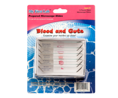 Набор микропрепаратов для микроскопа №1 «Человек» - fgospostavki.ru - Тула