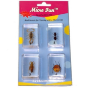 Набор микропрепаратов для стереомикроскопа №14 «Насекомые» - fgospostavki.ru - Тула