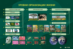 Электрифицированный стенд "Уровни организации жизни" - fgospostavki.ru - Тула