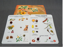 Коллекция "Семена и плоды" - fgospostavki.ru - Тула