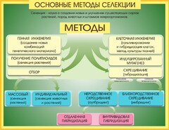 Стенд "Методы селекции и биотехнологии" - fgospostavki.ru - Тула
