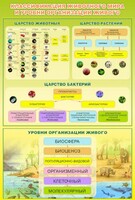 Стенд "Классификация животного мира" - fgospostavki.ru - Тула