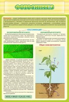 Стенд "Фотосинтез" - fgospostavki.ru - Тула
