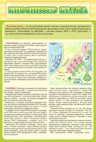 Стенд "Биосинтез белка" - fgospostavki.ru - Тула