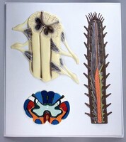 Модель барельефная "Строение спинного мозга" - fgospostavki.ru - Тула