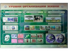 Электрифицированный стенд "Уровни организации жизни" - fgospostavki.ru - Тула