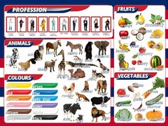 Стенд "Цвета, животные, профессии, фрукты, овощи" - fgospostavki.ru - Тула