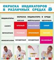 Стенд "Окраска индикаторов в различных средах" - fgospostavki.ru - Тула