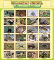 Стенд "Красная книга - млекопитающие" - fgospostavki.ru - Тула