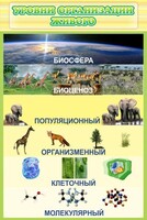 Стенд "Уровни организации живого" - fgospostavki.ru - Тула
