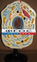 Модель "Клетка животного" - fgospostavki.ru - Тула