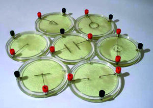 Демонстрационный комплект «Силовые линии электрического поля разных систем зарядов» - fgospostavki.ru - Тула