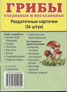 Раздаточные карточки "Грибы съедобные и не съедобные" - fgospostavki.ru - Тула