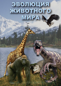 DVD "Эволюция животного мира" - fgospostavki.ru - Тула