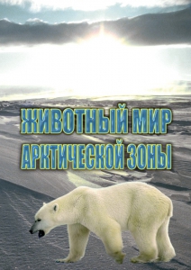DVD "Животный мир Арктической зоны" - fgospostavki.ru - Тула