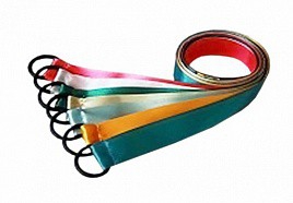 Лента гимнастическая на кольце (1 метр) - fgospostavki.ru - Тула