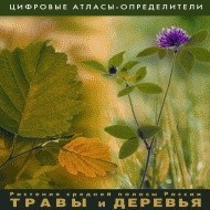 Растения средней полосы России "Травы и Деревья". (Цифровые атласы-определители) - fgospostavki.ru - Тула