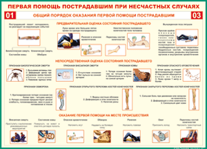 Таблица "Общий порядок оказания первой помощи пострадавшим" (100х140 сантиметров, винил) - fgospostavki.ru - Тула