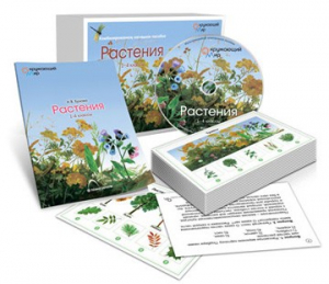 Комбинированное наглядное пособие «Растения» - fgospostavki.ru - Тула