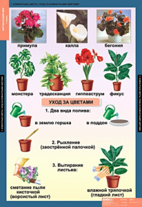 Комплект таблиц. Окружающий мир 1 класс. - fgospostavki.ru - Тула