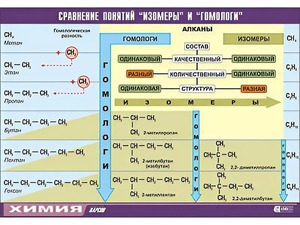 Таблица демонстрационная "Сравнение понятий изомер и гомолог" (винил 100x140) - fgospostavki.ru - Тула