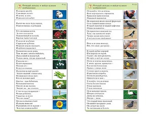 Комплект карточек (10) "Обучающий калейдоскоп. Природа" - fgospostavki.ru - Тула