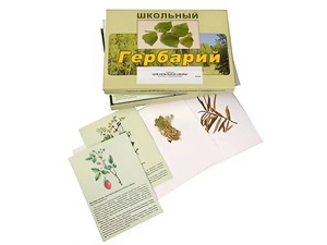 Гербарий "Для начальной школы" (30 видов, с иллюстрациями) - fgospostavki.ru - Тула
