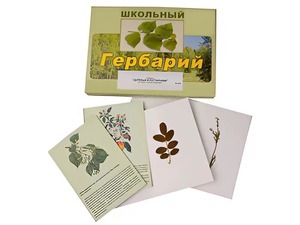 Гербарий "Деревья и кустарники" (22 вида, с иллюстрациями) - fgospostavki.ru - Тула