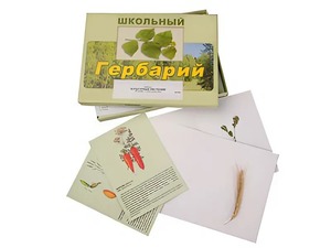 Гербарий "Культурные растения" (30 видов, с иллюстрациями) - fgospostavki.ru - Тула