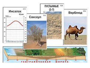 Модель-аппликация "Природные зоны" - fgospostavki.ru - Тула
